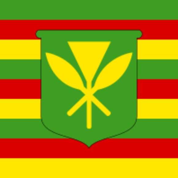 Hawaii Kanaka Maoli flag bead keychain, handmade, 30% to charity! - Picture 3 of 5